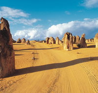Pinnacles Desert Koalas and Sandboarding 4WD Day Tour from Perth - Sydney Tourism