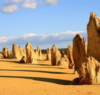 Pinnacles and Yanchep National Park Day Trip from Perth Including Lobster Shack Lunch and Sandboarding - Sydney Tourism