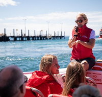 Rottnest Island Tour from Perth or Fremantle including Adventure Speed Boat Ride - Sydney Tourism