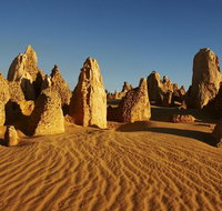 Pinnacles Day Trip from Perth Including Yanchep National Park - Sydney Tourism
