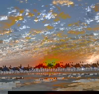 1 Hour Broome Sunset Camel Tour - Sydney Tourism