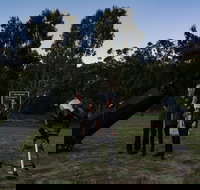 Stargazing Busselton with Mobile Observatory - Sydney Tourism