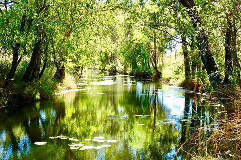 Gorgeous Gorges Tour - Windjana & Bell Gorge, Mt Hart, Cape Leveque - Sydney Tourism 8