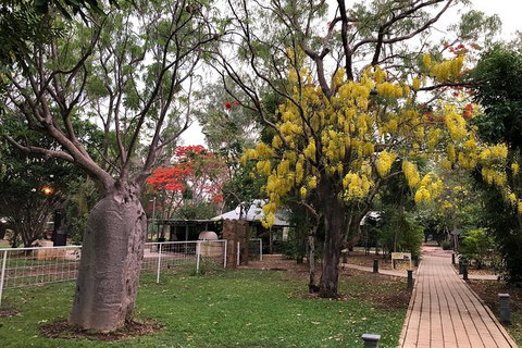 Gorgeous Gorges Tour - Windjana & Bell Gorge, Mt Hart, Cape Leveque - Sydney Tourism 10