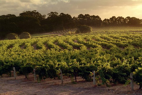 Margaret River Wineries, Caves, Ocean And Karri - Air & Ground Tour - Sydney Tourism 4