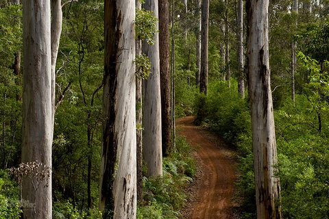 Margaret River Wineries, Caves, Ocean And Karri - Air & Ground Tour - Sydney Tourism 3