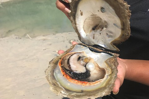 Willie Creek Pearl Farm Tour From Broome - Sydney Tourism 6