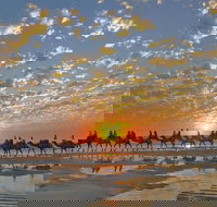 Broome City Sightseeing Tour with Optional Camel Ride - Sydney Tourism