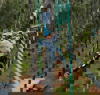 Busselton High Ropes and Zipline Adventure - Sydney Tourism