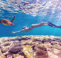 7-Day Exmouth Explorer via Pinnacles Monkey Mia Ningaloo Reef returning to Perth