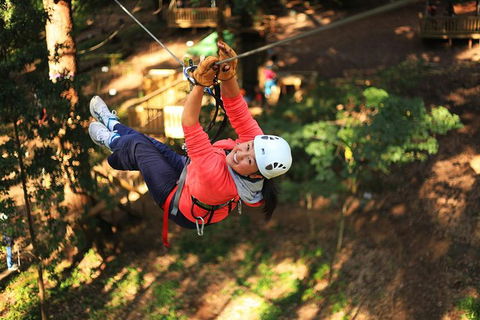 Trees Adventure Lane Poole Park - Treetop & Zipline Experience - Sydney Tourism 0