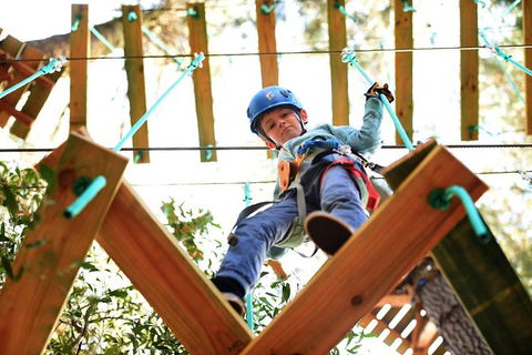 Trees Adventure Lane Poole Park - Treetop & Zipline Experience - Sydney Tourism 1