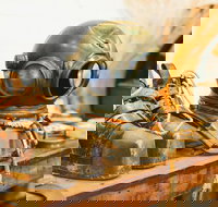 1.5-Hour Historical Pearl Luggers Tour in Broome - Sydney Tourism