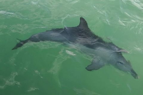 The Pirate Cruise In Mandurah On Viator - Sydney Tourism 4