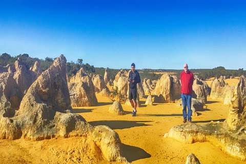 Pinnacles Day Trip Including Yanchep, Cave, Cervantes And Scarborough Beach - Sydney Tourism 1