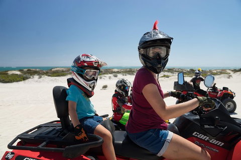 Buggy, Quad Bike, Motocross And Sandboard Tour Lancelin, Sand Dunes - Sydney Tourism 1