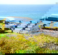 Margaret River Coastal and Wildlife Eco Trip from Busselton or Dunsborough - Sydney Tourism