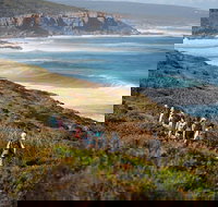 8-Day Cape to Cape Track Guided Walking Tour from Perth - Sydney Tourism