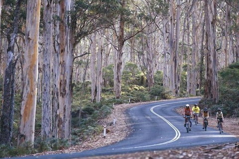 Margaret River And Geographe Bay Region Day Trip From Perth - Sydney Tourism 1