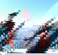 Rottnest Island Wild Seafood Package with Round Trip Ferry from Fremantle - Sydney Tourism