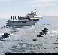 Busselton Whale Watching Eco Tour - Sydney Tourism