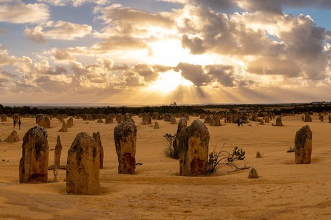Half Day Pinnacles Sunset Tour - Sydney Tourism 1