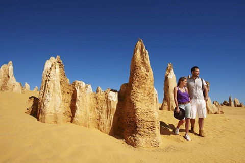 Half Day Pinnacles Sunset Tour - Sydney Tourism 7
