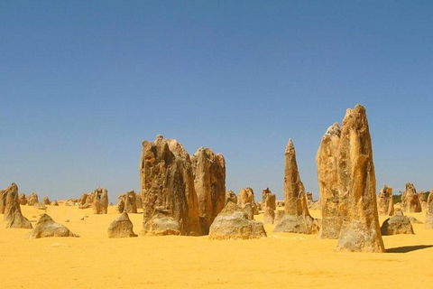 Half Day Pinnacles Sunset Tour - Sydney Tourism 6