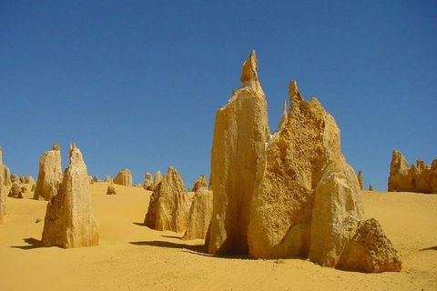 Half Day Pinnacles Sunset Tour - Sydney Tourism 5