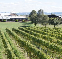 Puffing Billy Train and Yarra Valley Food and Wine Day Trip from Melbourne - Sydney Tourism