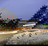 1 Day Private Phillip Island Tour VIP Charter up to 9 People - Sydney Tourism