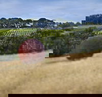 Estate to Plate Montalto Vineyard Gourmet Lunch and Wine-Tasting Tour - Sydney Tourism