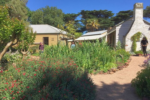 Phillip Island Tour Including Phillip Island Penguin Parade - Sydney Tourism 9