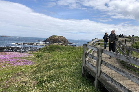 Phillip Island Tour Including Phillip Island Penguin Parade - Sydney Tourism 10