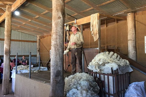 Phillip Island Tour Including Phillip Island Penguin Parade - Sydney Tourism 5