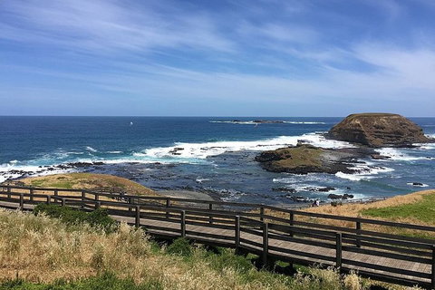 Phillip Island Tour Including Phillip Island Penguin Parade - Sydney Tourism 6