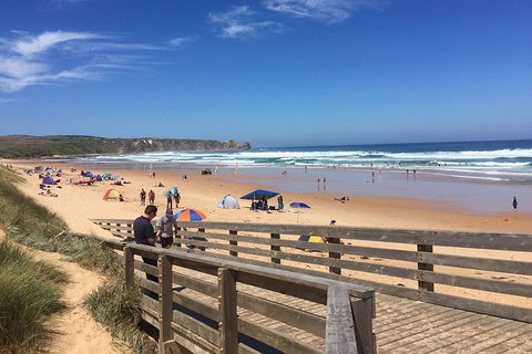 Phillip Island Tour Including Phillip Island Penguin Parade - Sydney Tourism 2