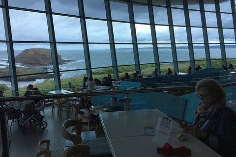 Phillip Island Tour Including Phillip Island Penguin Parade - Sydney Tourism 4