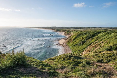 Phillip Island Hike And Aussie Wildlife Adventure - Sydney Tourism 0