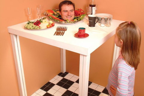 A Maze'N Things Admission With Optional Phillip Island Chocolate Factory General Entry - Sydney Tourism 1