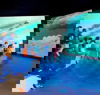 Phillip Island Antarctic Journey Entry ticket - Sydney Tourism