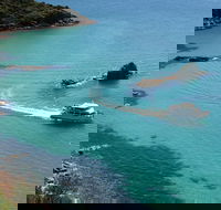 Cape Woolamai Sightseeing Cruise from San Remo - Sydney Tourism