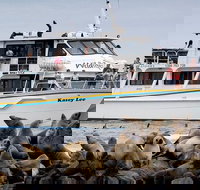 Phillip Island Seal-Watching Cruise - Sydney Tourism