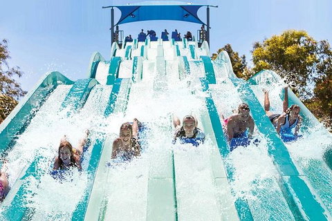 Adventure Park Geelong: General Admission Ticket - Sydney Tourism 1