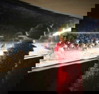 Phillip Island Private Tour - Sydney Tourism