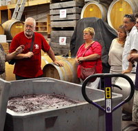 5 Hour Private Wine Tour - Sydney Tourism