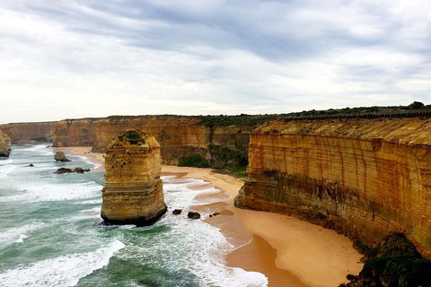 Ultimate Reverse Direction - 12 Apostles, Great Ocean Road - Small Group Tour - Sydney Tourism 5