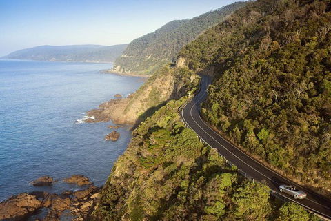 Ultimate Reverse Direction - 12 Apostles, Great Ocean Road - Small Group Tour - Sydney Tourism 10