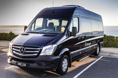 Ultimate Reverse Direction - 12 Apostles, Great Ocean Road - Small Group Tour - Sydney Tourism 4