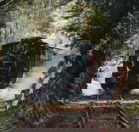 West Coast Wilderness Railway River and Rainforest from Strahan - Sydney Tourism